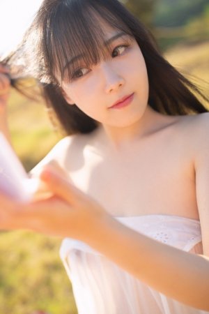 青楼十二房在线观看免费版电视剧全集