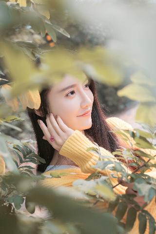 人狗大战2高清正版免费