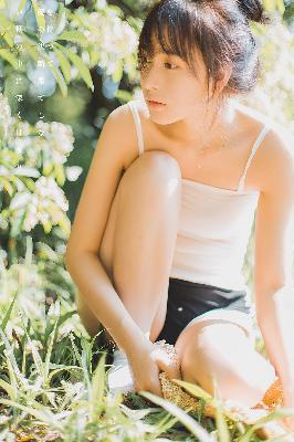 大秦帝国之纵横 电视剧