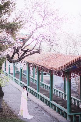 沉默的真相演员表