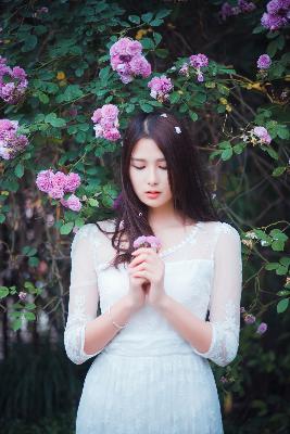 平凡的世界电视剧免费观看