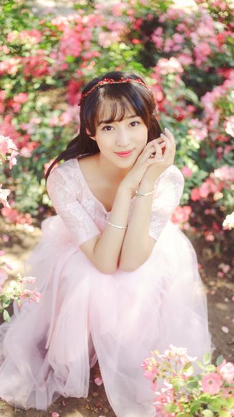 疯狂动物城2(国语版)